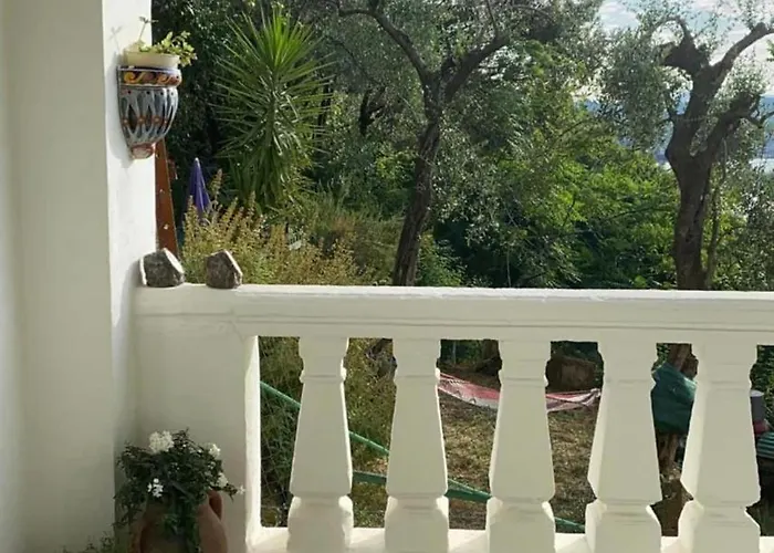 Yono * Λα Σπέτσια